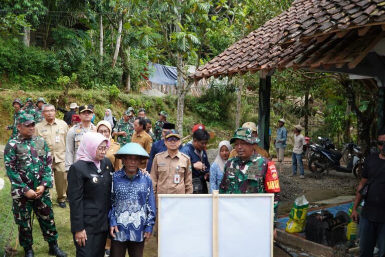 WhatsApp Image 2026-02-15 at 06.33.54