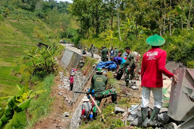 WhatsApp Image 2026-02-15 at 08.54.15