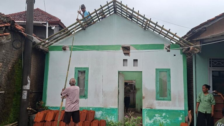 WhatsApp Image 2026-02-15 at 21.52.56