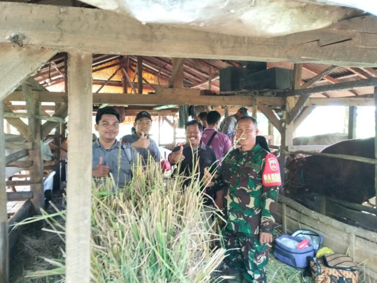 WhatsApp Image 2026-02-15 at 21.53.25