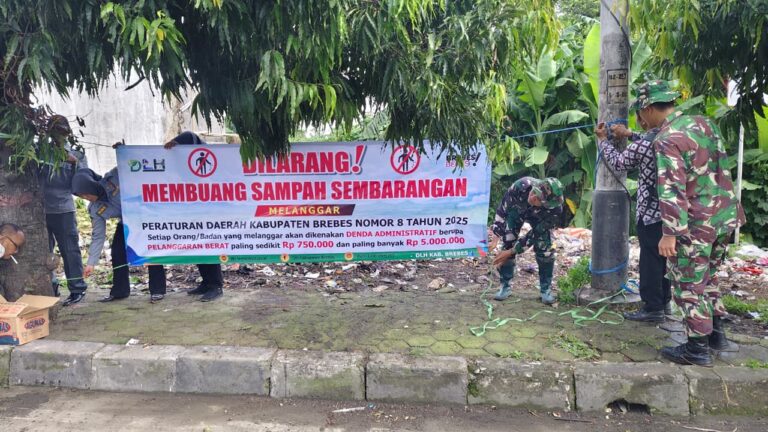 WhatsApp Image 2026-02-15 at 21.53.41