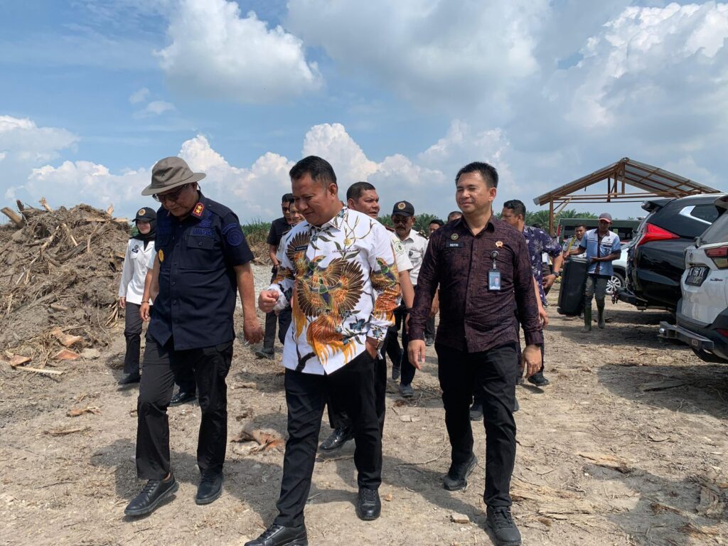 WhatsApp Image 2026-02-15 at 23.33.59