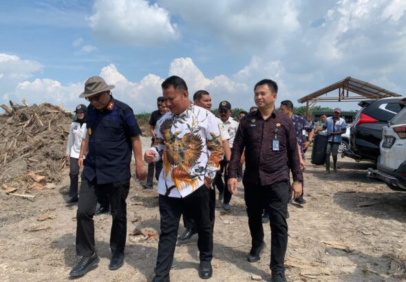 WhatsApp Image 2026-02-15 at 23.33.59