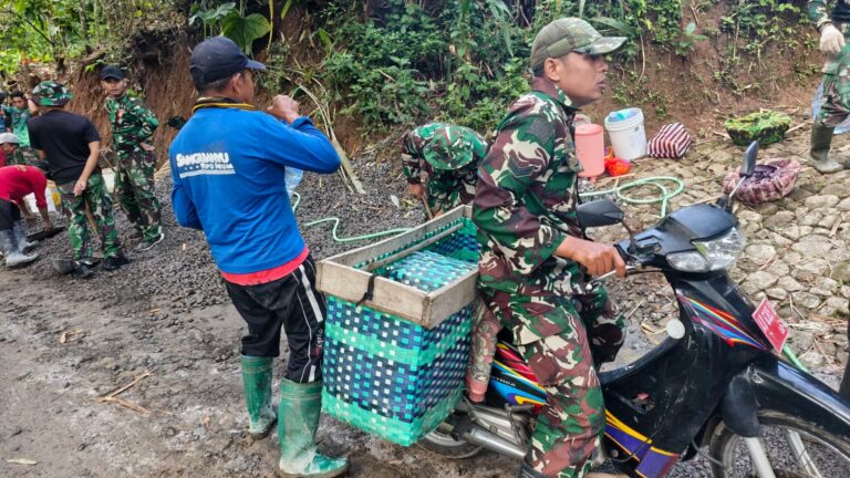 WhatsApp Image 2026-02-16 at 09.44.12