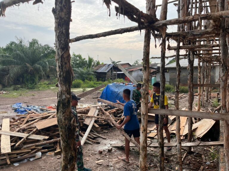 WhatsApp Image 2026-02-16 at 12.42.28