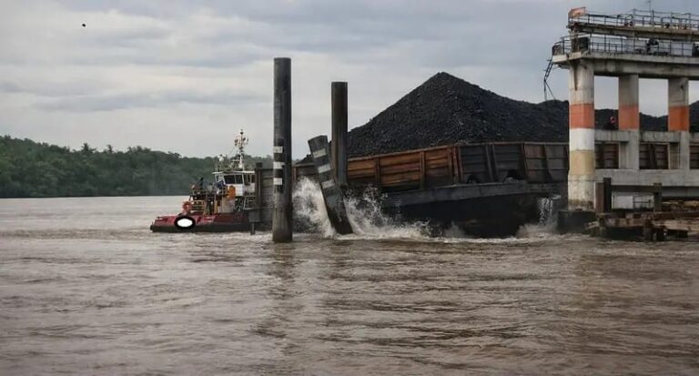 WhatsApp Image 2026-02-16 at 21.12.16