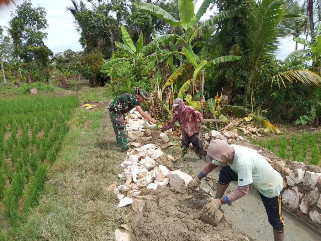 WhatsApp Image 2026-02-18 at 09.16.56 (1)