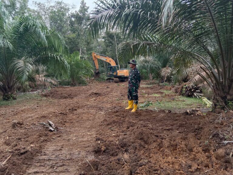 WhatsApp Image 2026-02-18 at 11.52.42