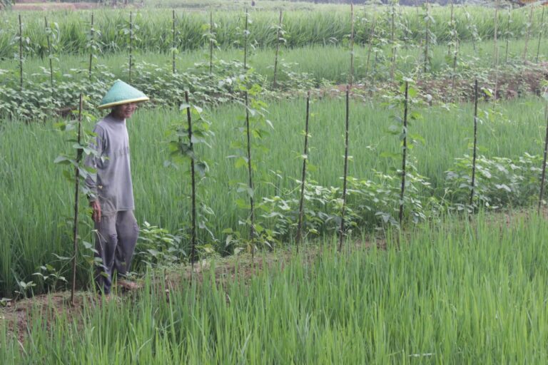 WhatsApp Image 2026-02-19 at 06.51.31 (1)