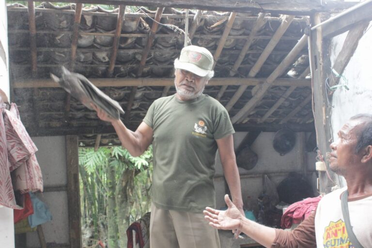 WhatsApp Image 2026-02-19 at 06.52.15