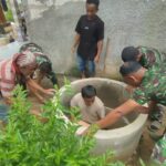 WhatsApp Image 2026-02-19 at 09.49.28