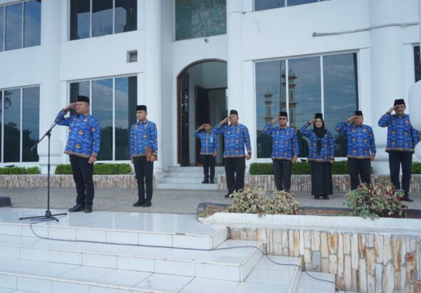 WhatsApp Image 2026-02-19 at 10.46.11