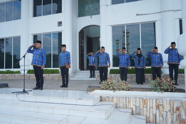 WhatsApp Image 2026-02-19 at 10.46.11