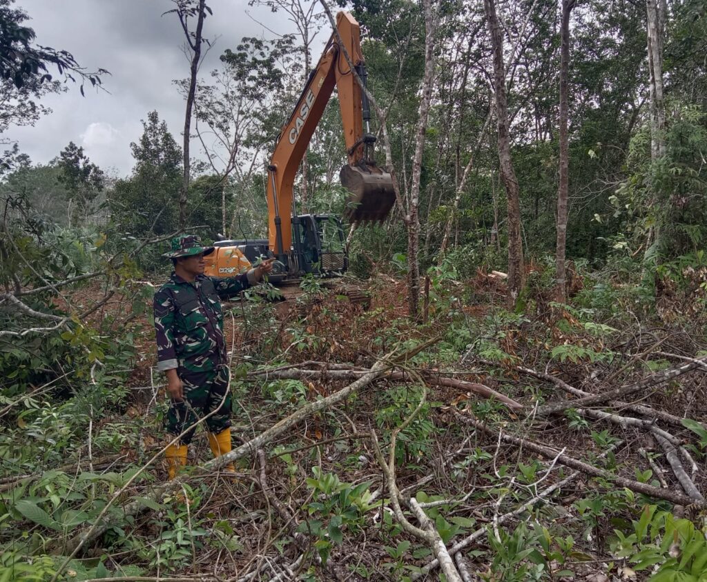 WhatsApp Image 2026-02-19 at 13.16.00 (1)