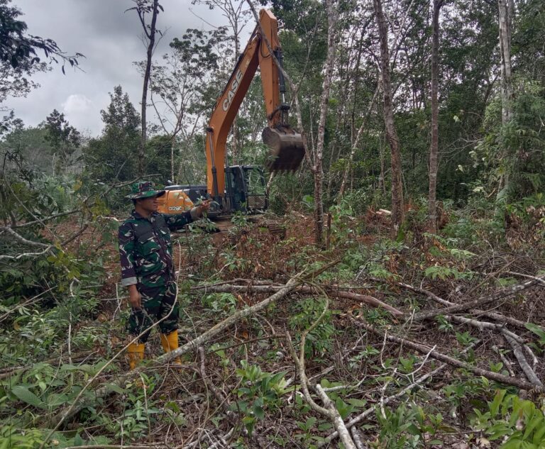 WhatsApp Image 2026-02-19 at 13.16.00 (1)