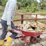 WhatsApp Image 2026-02-19 at 18.02.33