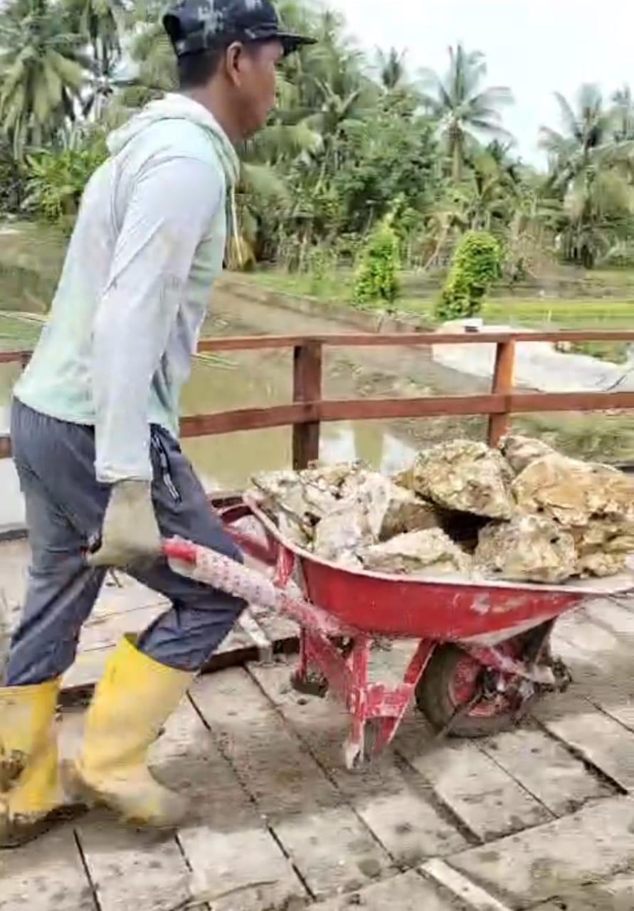 WhatsApp Image 2026-02-19 at 18.02.33