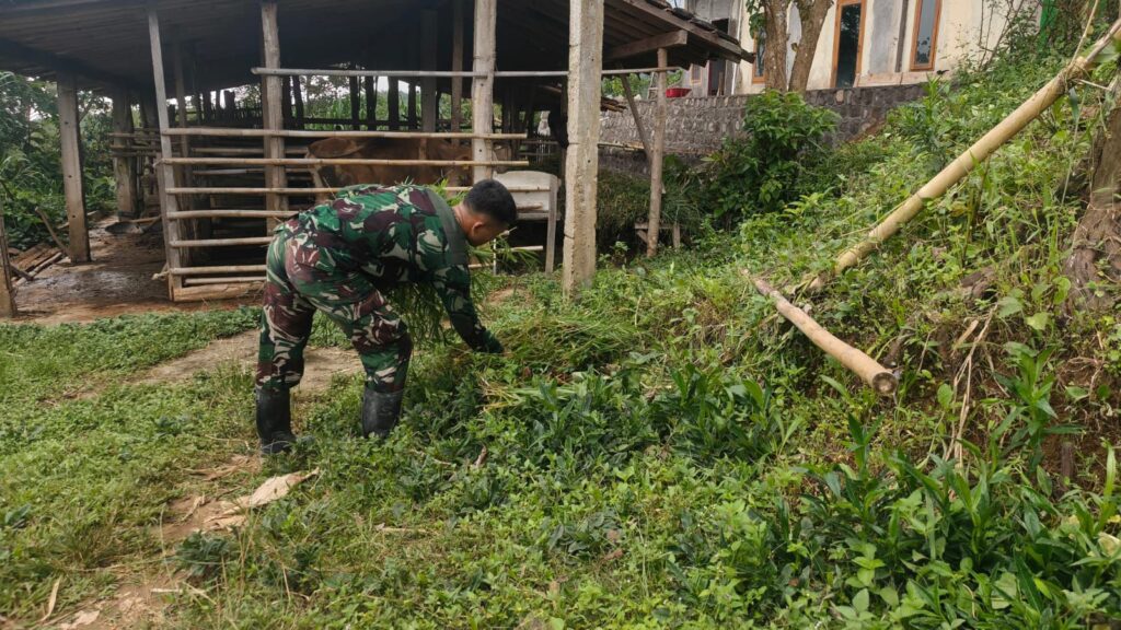 WhatsApp Image 2026-02-20 at 07.54.00