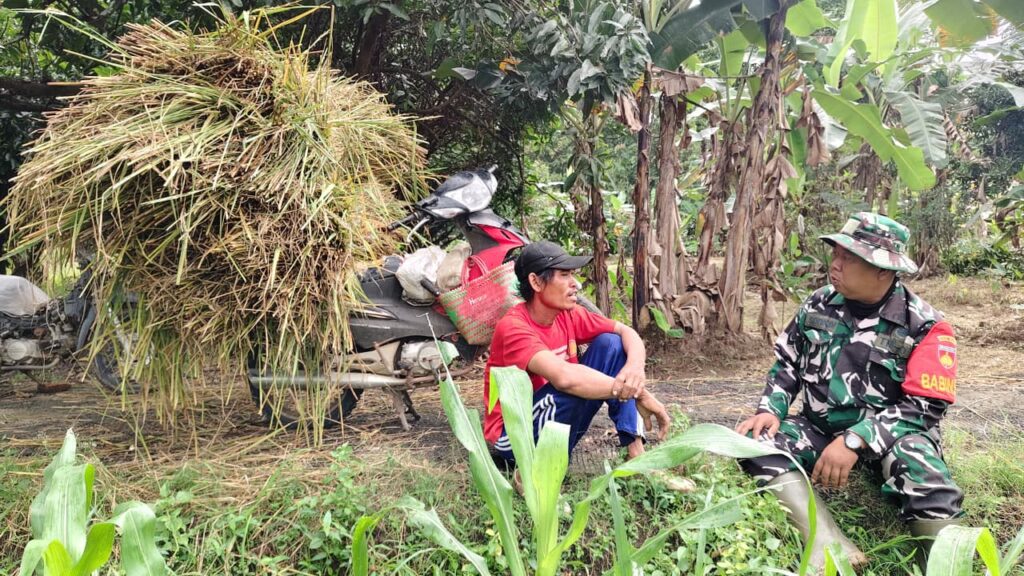 WhatsApp Image 2026-02-20 at 08.37.15