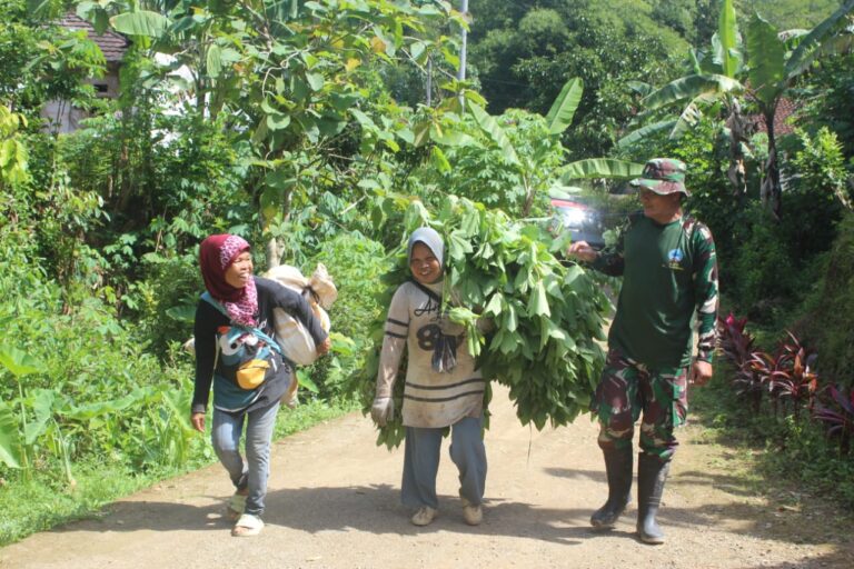 WhatsApp Image 2026-02-20 at 10.42.20