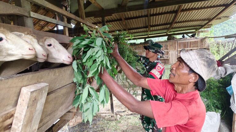 WhatsApp Image 2026-02-21 at 06.55.03