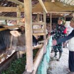 WhatsApp Image 2026-02-21 at 07.07.22