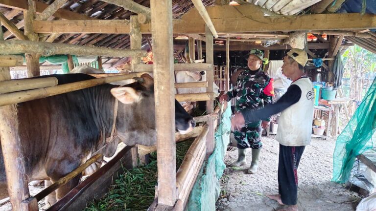 WhatsApp Image 2026-02-21 at 07.07.22