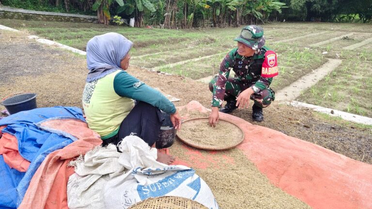 WhatsApp Image 2026-02-22 at 07.09.02