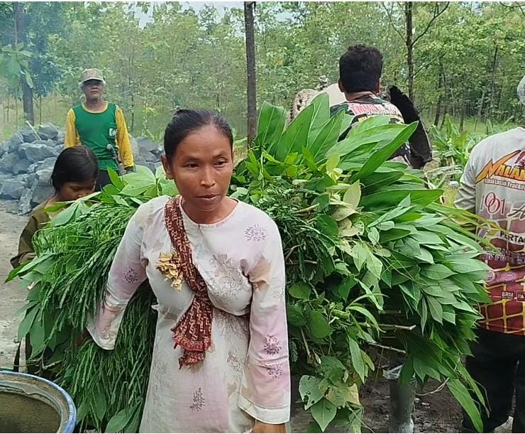 WhatsApp Image 2026-02-22 at 07.11.40