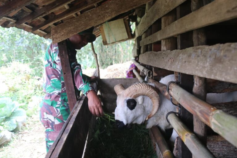 WhatsApp Image 2026-02-22 at 10.04.55