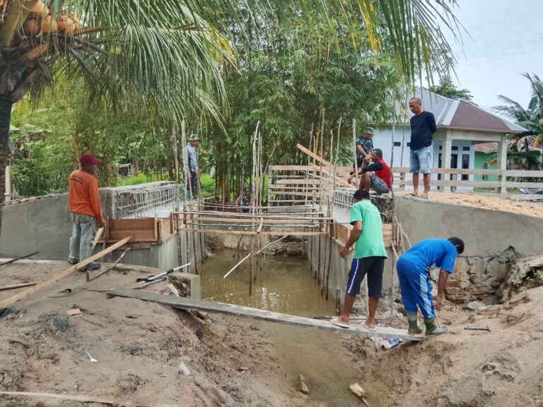 WhatsApp Image 2026-02-22 at 14.00.28