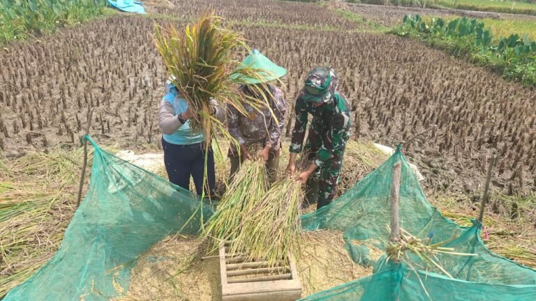 WhatsApp Image 2026-02-23 at 08.21.19 (1)