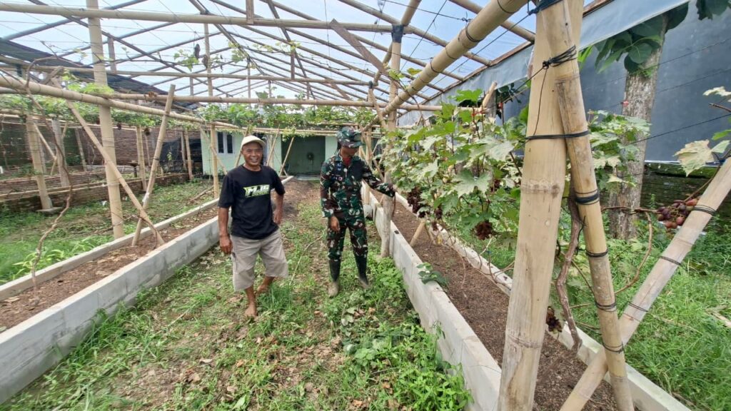 WhatsApp Image 2026-02-23 at 08.22.13