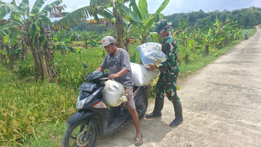 WhatsApp Image 2026-02-24 at 07.44.07