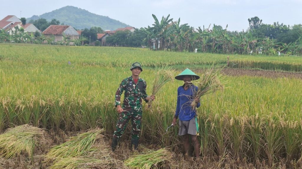 WhatsApp Image 2026-02-24 at 07.44.59