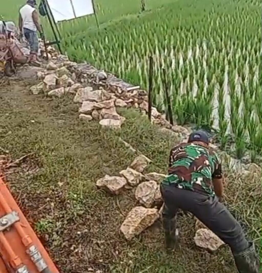 WhatsApp Image 2026-02-25 at 07.48.17 (2)