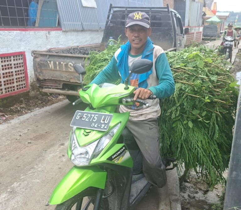 WhatsApp Image 2026-02-25 at 09.06.36