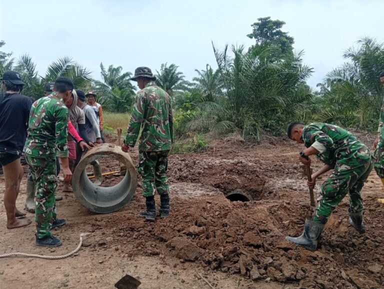 WhatsApp Image 2026-02-25 at 10.59.49