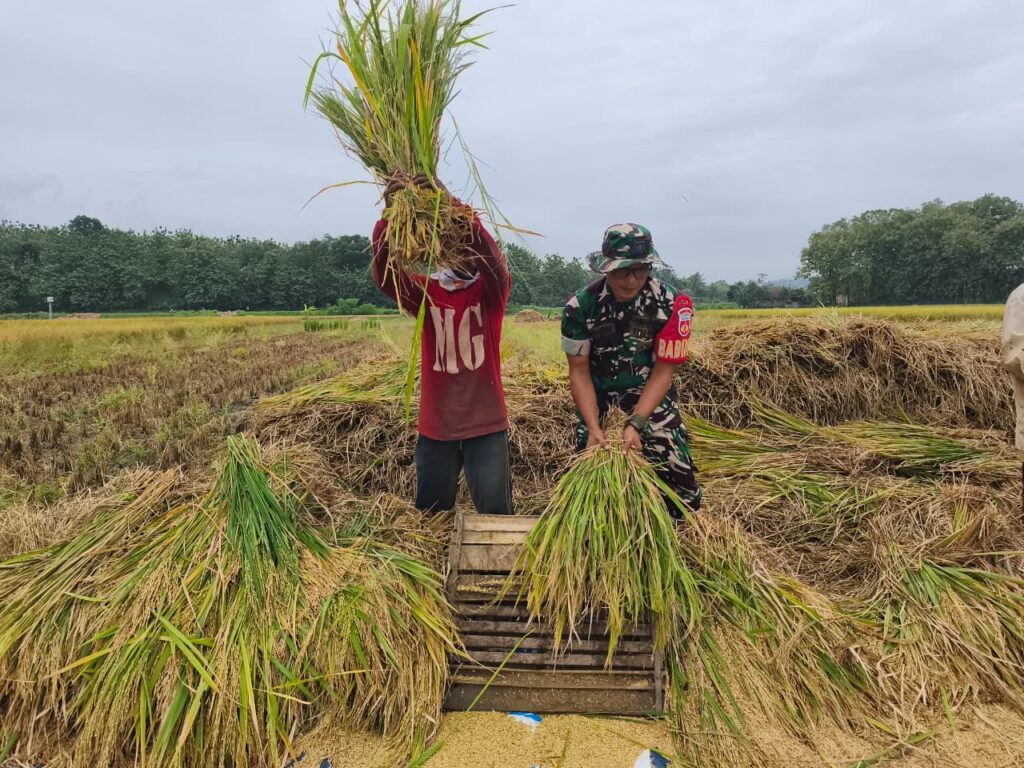 WhatsApp Image 2026-02-26 at 11.01.18 (2)