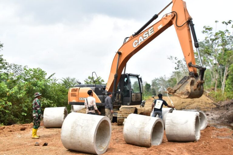 WhatsApp Image 2026-02-26 at 14.28.05 (1)