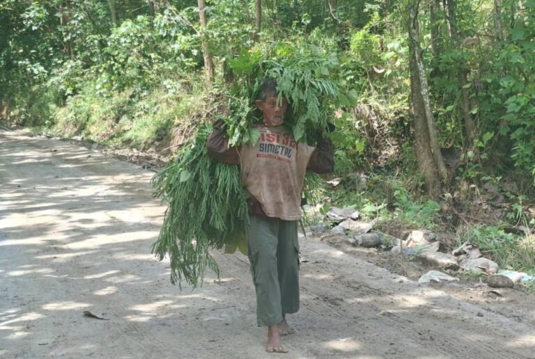 WhatsApp Image 2026-02-27 at 07.52.44