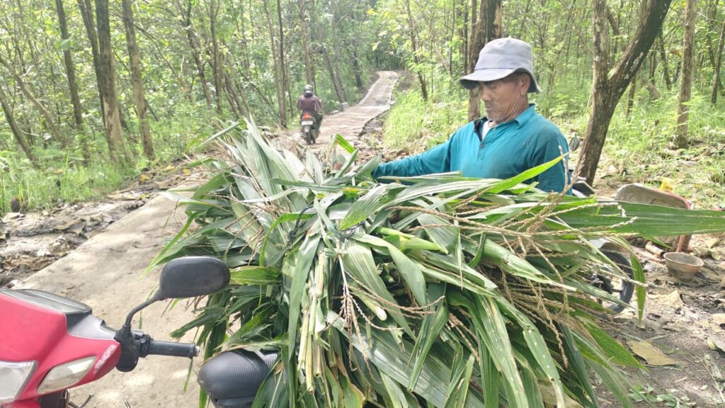 WhatsApp Image 2026-03-01 at 08.25.17