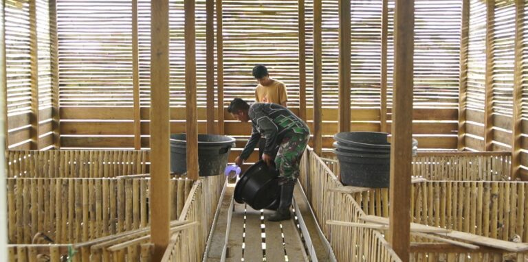 WhatsApp Image 2026-03-01 at 08.25.43