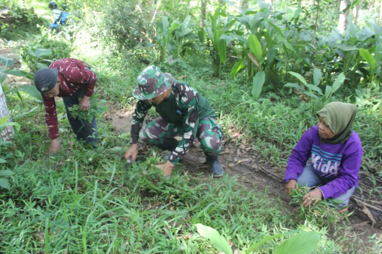 WhatsApp Image 2026-03-01 at 09.26.32 (3)