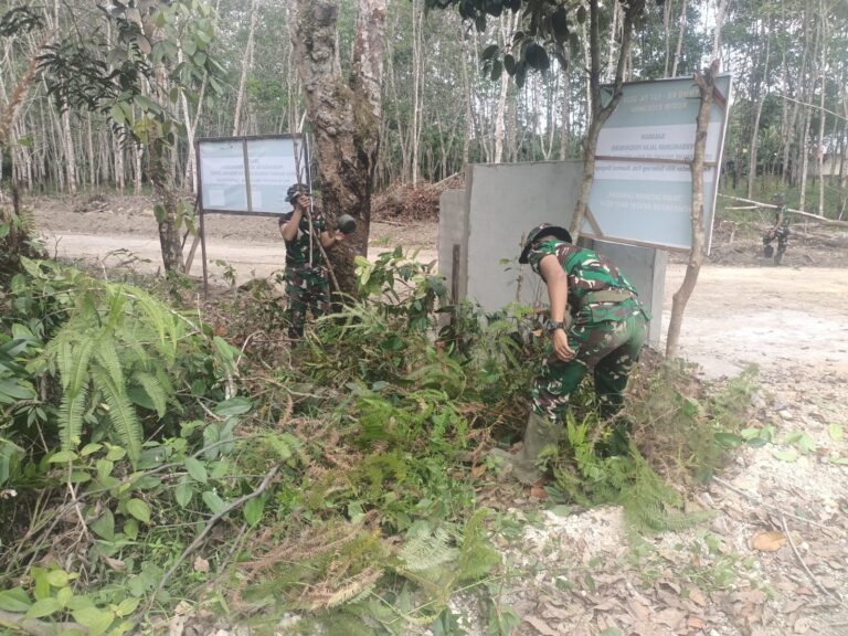 WhatsApp Image 2026-03-01 at 13.25.18