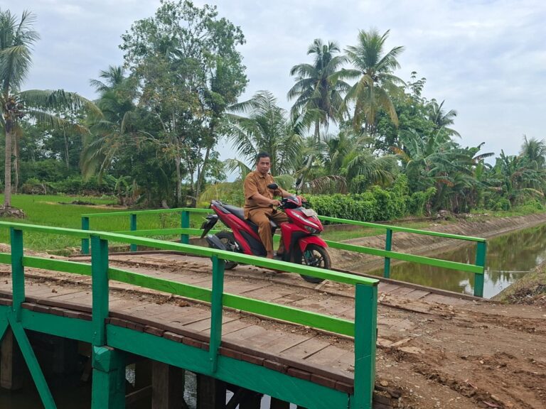 WhatsApp Image 2026-03-02 at 09.54.35