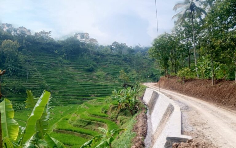 WhatsApp Image 2026-03-02 at 10.06.58