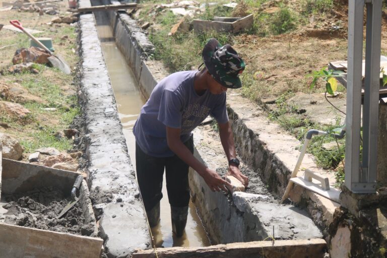 WhatsApp Image 2026-03-03 at 07.50.17 (1)