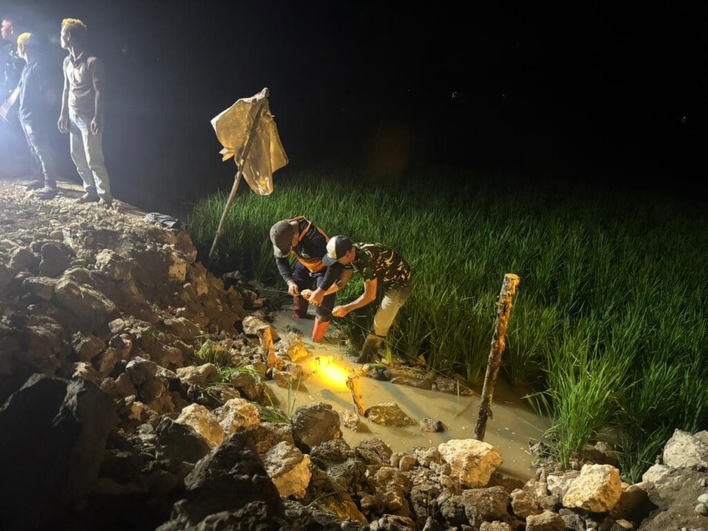 WhatsApp Image 2026-03-03 at 11.50.22 (1)