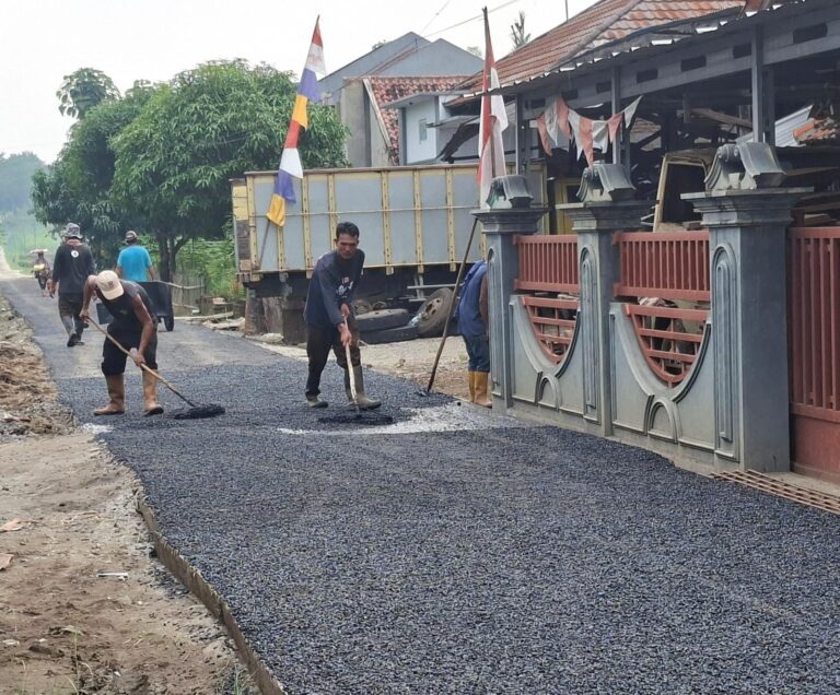 WhatsApp Image 2026-03-03 at 12.35.20 (3)